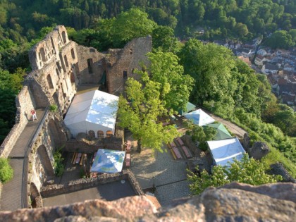 Photo: Burgruine Windeck